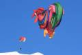 Heissluftballon Gleitschirm 02